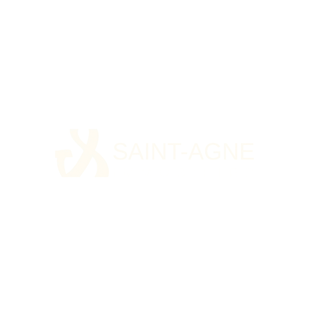 Graffin Patrimoine Saint Anne Logo