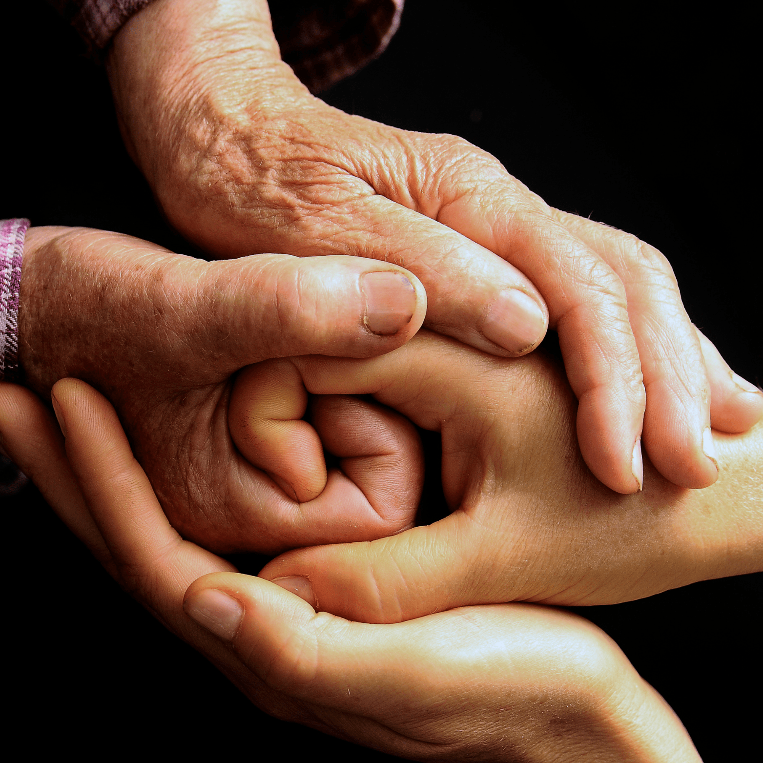 Graffin Patrimoine Transmettre son patrimoine Image